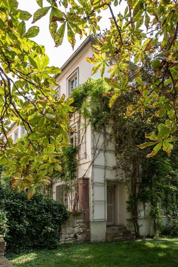 Ferienwohnung Am Dom Naumburg  Exteriér fotografie