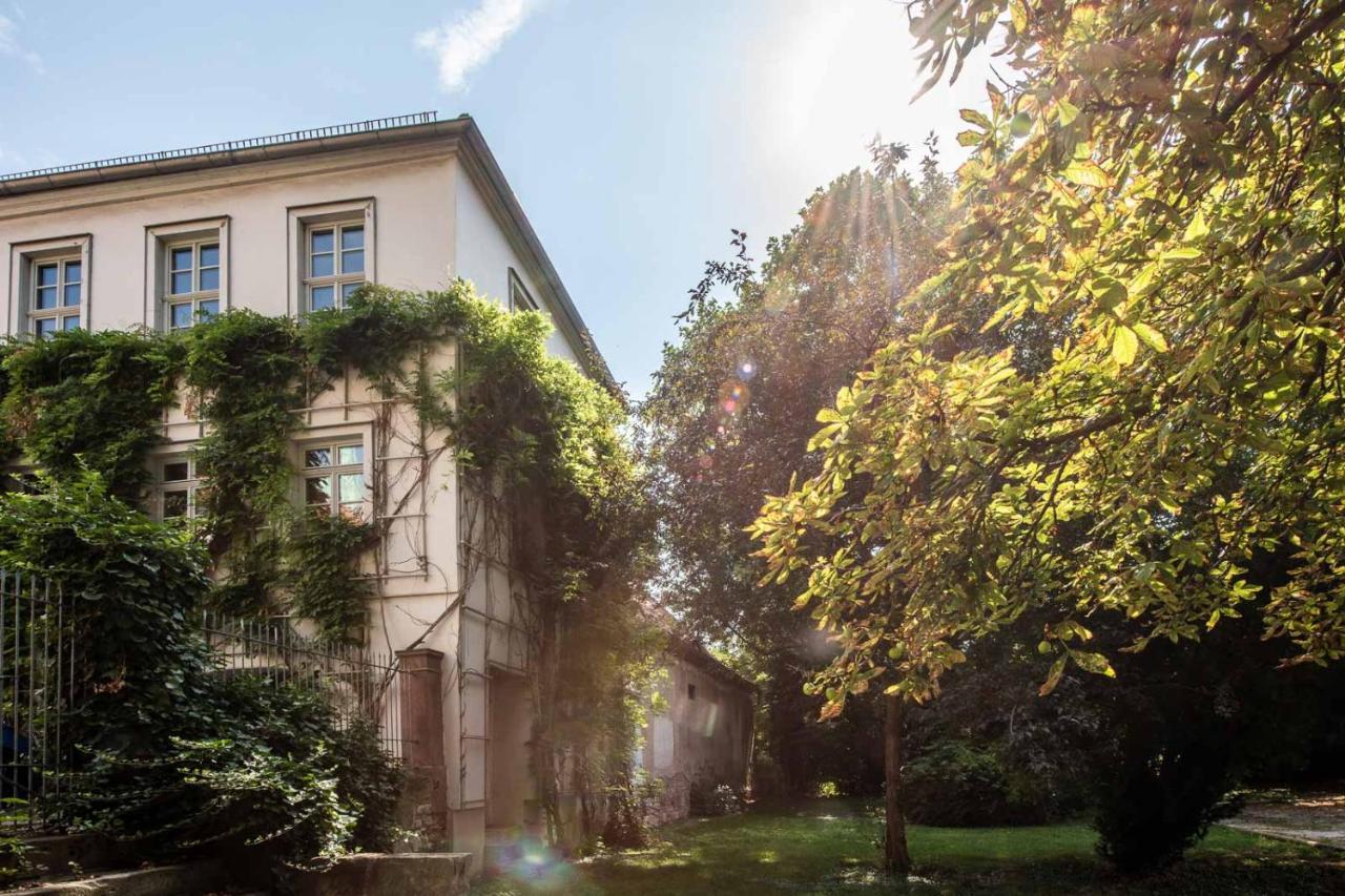 Ferienwohnung Am Dom Naumburg  Exteriér fotografie